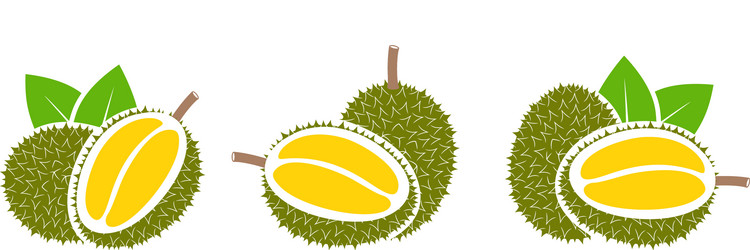 Silhouette Durian Vector Images (99)