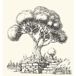 High detail olive tree hand drawn Royalty Free Vector Image