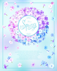 Spring background with phlox vector