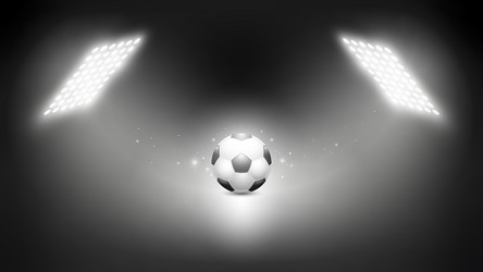 Soccer Ball in Stadium Spotlight Vector Image