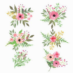 Floral Watercolor Set - Delicate Flowers Vector Image