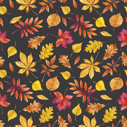 Watercolor Autumn Leaf Pattern Vector Image