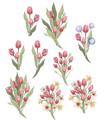 bouquet of flowers tulips spring holiday march 8 Vector Image