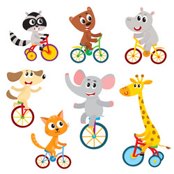 Adorable Animals on Unicycles Vector Image