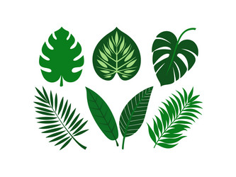 stylish set of green leaf Vector Image