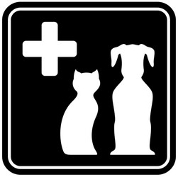 veterinary care isolated icon vector