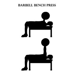 Incline barbell bench press workout exercise Vector Image