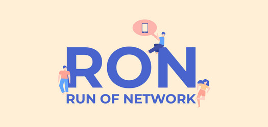 ron run network development and coding vector image