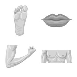 isolated object of human and part symbol set vector image