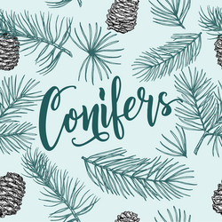 Seamless pattern with image of a coniferous vector