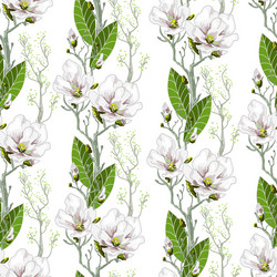 Magnolia Spring Seamless Pattern Vector Image