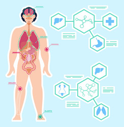 patient total checkup analysis and diagnostics vector image