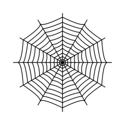 Cobweb spiders web vector