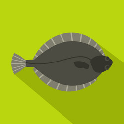 Flounder fish icon flat style vector