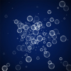 Random soap bubbles abstract background blowing b vector