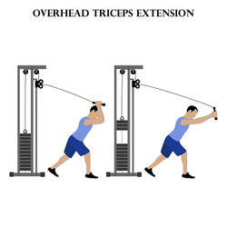 Overhead Tricep Extension Vector Images (39)