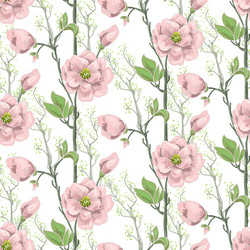 seamless spring pattern with pink magnolias Vector Image