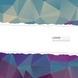 torn paper with triangles and polygon mesh vector image