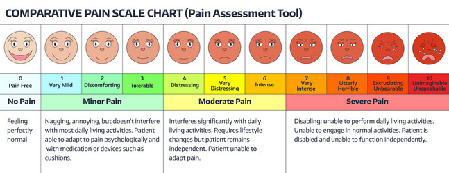 Faces - pain scale chart vector