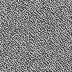 Cyclic symmetric multiscale turing pattern vector