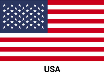 Vintage USA Flag Grunge vector