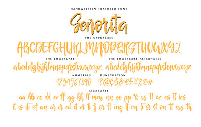 Senorita Script Font - Calligraphy Set vector