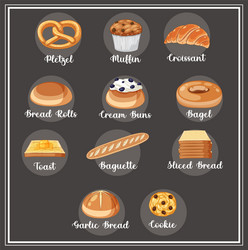 different types of bread with name vector image