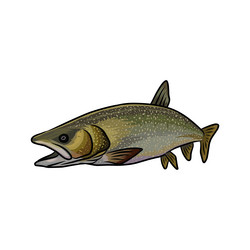 lake trout fishing logo image Vector Image