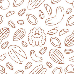 nut seamless pattern with flat line icons vector image