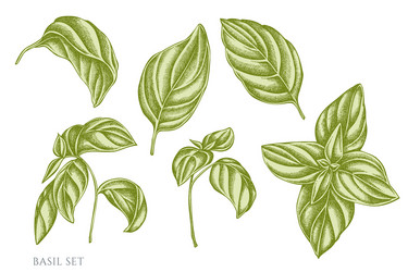 Plant in hand Royalty Free Vector Image - VectorStock