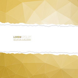 torn paper with triangles and polygon mesh vector image