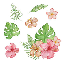 watercolor tropical with bright leaves Vector Image