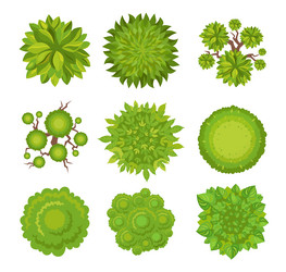 top view of trees and bushes set vector