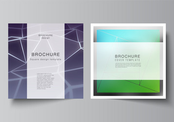 Minimal layout two square format covers vector