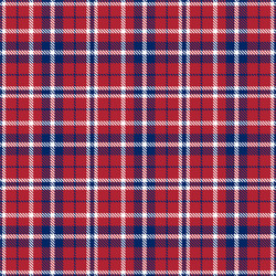 Patriotic tartan white blue red seamless vector