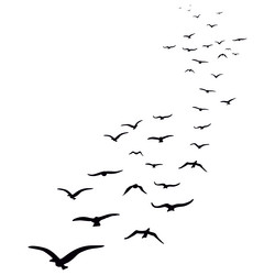 birds fly high 1 Vector Image