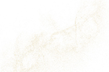 gold texture pattern on white background vector image