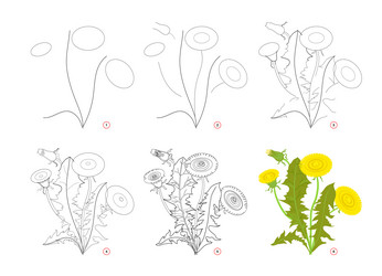 page shows how to learn draw step by toy vector image