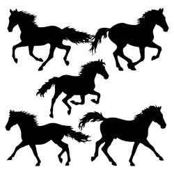 silhouette set of running horse on white Vector Image