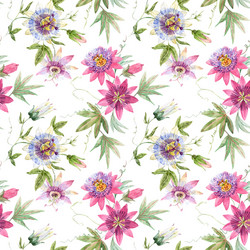 Watercolor Passionflower Pattern Vector Image
