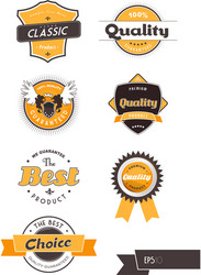 Vintage Label Set - Retro Badges & Icons Vector Image