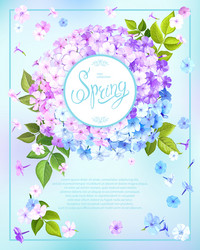 Spring background with phlox vector
