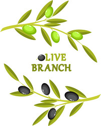 Olive Branch Wreath Vector Image
