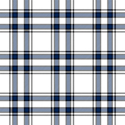 Blue and white tartan plaid pattern vector