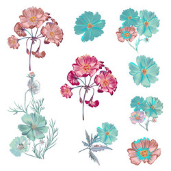 Premium Vector  Set of cosmos flower and leaves drawing illustration