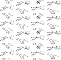 seamless pattern of hand drawn whippet vector image