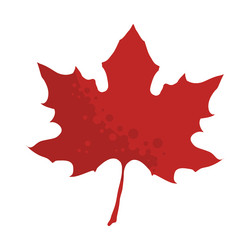 Cartoon red maple leaf Royalty Free Vector Image