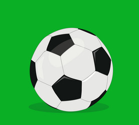 Flaming soccer Royalty Free Vector Image - VectorStock