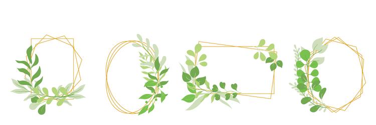 Floral Botanical Frames - Green Leaves vector image