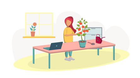 Girl harvests tomato at home vector